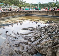 Hartley's Crocodile Adventures Day Trip from Cairns