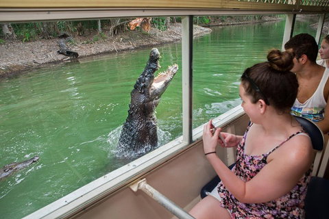 Hartley's Crocodile Adventures Day Trip From Cairns - Holiday Cairns 3