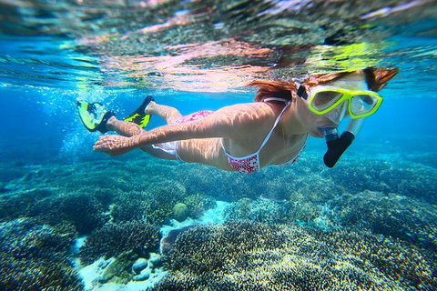 Abrolhos Islands Scenic Flight & Snorkel Adventure From Perth - Holiday Cairns 1