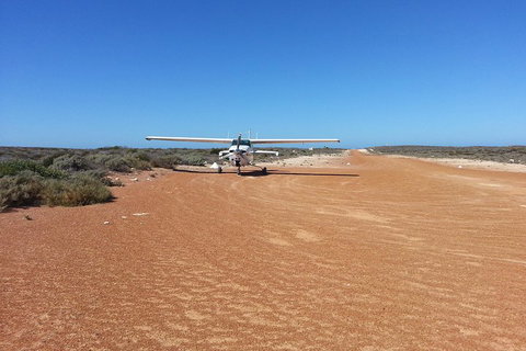 Abrolhos Islands Scenic Flight & Snorkel Adventure From Perth - Holiday Cairns 3