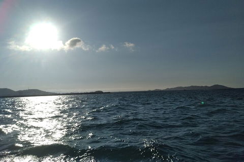 Townsville Small Group Early Morning Sailing Cruise Boat Tour Charter Hire - Holiday Cairns 4