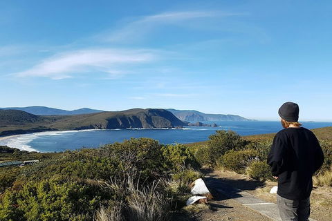 Small-Group Day Trip From Hobart To Bruny Island - Holiday Cairns 0