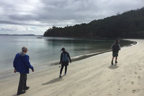 Small-Group Day Trip From Hobart To Bruny Island - Holiday Cairns 1