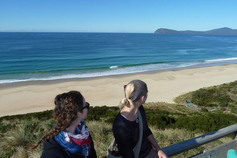 Small-Group Day Trip From Hobart To Bruny Island - Holiday Cairns 3
