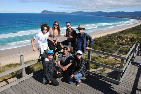 Small-Group Day Trip From Hobart To Bruny Island - Holiday Cairns 4