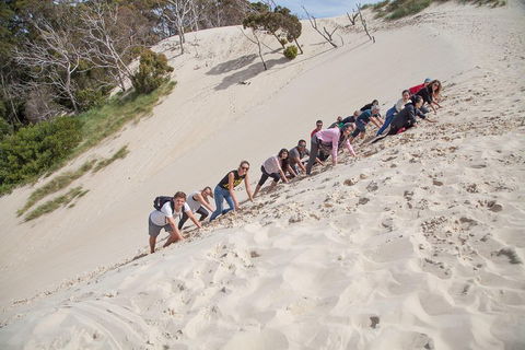 6-Day Tasmanian Explorer Adventure Tour From Hobart - Holiday Cairns 2