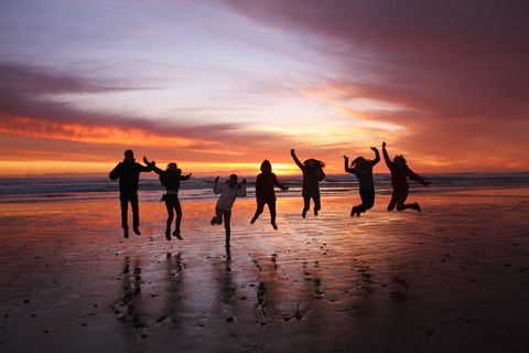 6-Day Tasmanian Explorer Adventure Tour From Hobart - Holiday Cairns 3