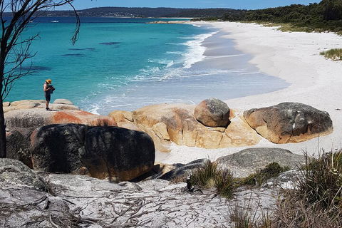 2-Day Tas East Coast Escape Tour Including Bay Of Fires, Wineglass Bay & Devils - Holiday Cairns 4