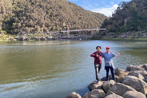 5-Day Best Of Tasmania Tour From Hobart - Holiday Cairns 2