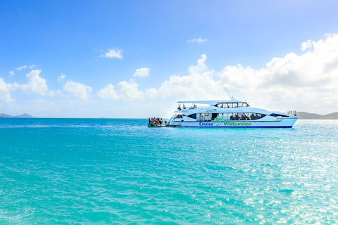 Whitehaven Beach And Daydream Island Cruise - Holiday Cairns 2