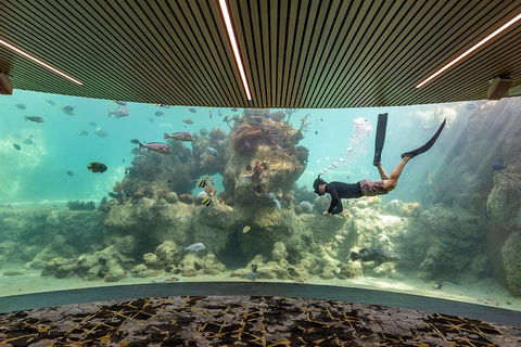 Whitehaven Beach And Daydream Island Cruise - Holiday Cairns 4