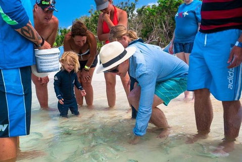 Whitehaven Beach And Hamilton Island Cruise - Holiday Cairns 1
