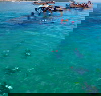 Adventure Moreton Island Scuba Dive Tour - Holiday Cairns