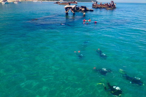 Adventure Moreton Island Scuba Dive Tour - Holiday Cairns 0