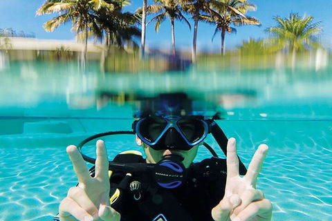 Adventure Moreton Island Scuba Dive Tour - Holiday Cairns 2
