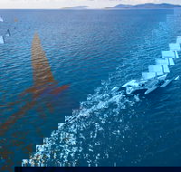 2-Night Whitsunday Islands Sailing Adventure on Trimaran Avatar - Holiday Cairns