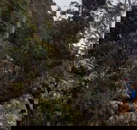 kunanyi / Mt. Wellington Guided Hiking Tour - Holiday Cairns