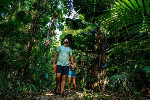 Full Day Daintree Rainforest And Mossman Gorge Tour - Holiday Cairns 0