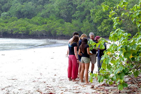 Full Day Daintree Rainforest And Mossman Gorge Tour - Holiday Cairns 2