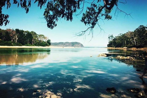 Full-Day Guided Bruny Island Tour From Hobart - Holiday Cairns 1