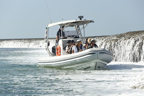 Cygnet Bay Explorer - Holiday Cairns 2