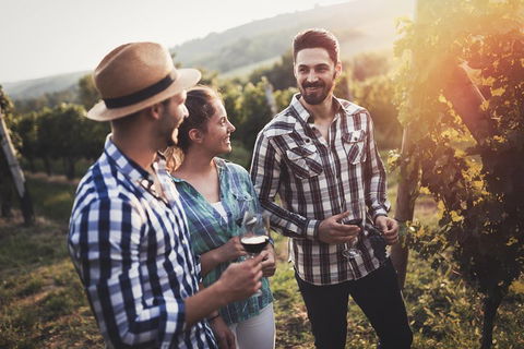Full Day Mount Tamborine Winery Tour From Gold Coast - Holiday Cairns 5