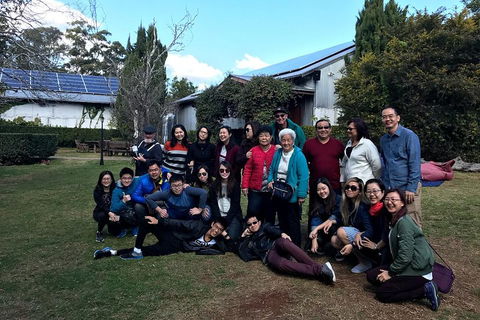 Full Day Mount Tamborine Winery Tour From Brisbane - Holiday Cairns 2