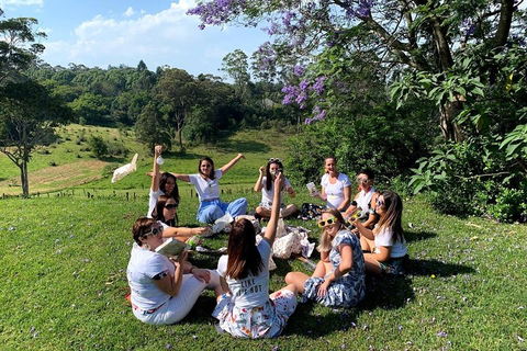 Full Day Mount Tamborine Winery Tour From Brisbane - Holiday Cairns 4