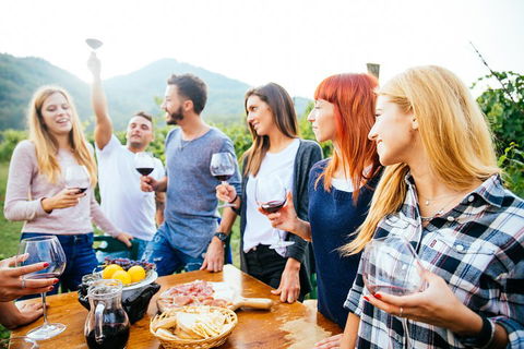 Full Day Mount Tamborine Winery Tour From Brisbane - Holiday Cairns 5