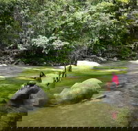 Daintree Dreaming Traditional Aboriginal Fishing from Cairns or Port Douglas - Holiday Cairns