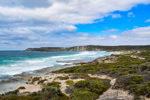 Kangaroo Island Luxury Small Group 'East End Explorer' Full Day Tour - Holiday Cairns 0