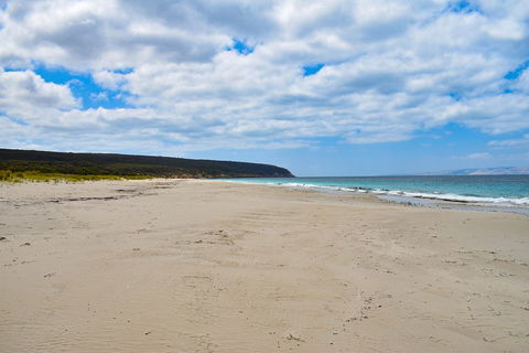 Kangaroo Island Luxury Small Group 'East End Explorer' Full Day Tour - Holiday Cairns 3
