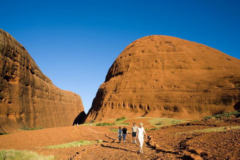 Afternoon Kata Tjuta Small Group Tour - Holiday Cairns 1