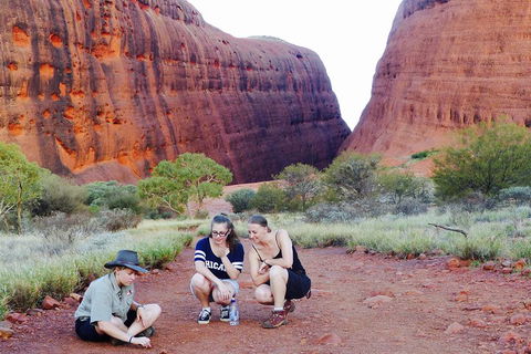Afternoon Kata Tjuta Small Group Tour - Holiday Cairns 2