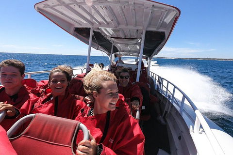 Adventure Rottnest Tour With Ferry & Adventure Cruise From Perth Or Fremantle - Holiday Cairns 0