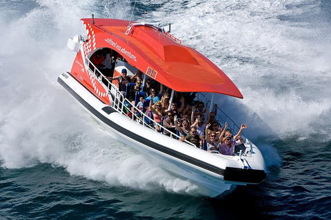 Adventure Rottnest Tour With Ferry & Adventure Cruise From Perth Or Fremantle - Holiday Cairns 2