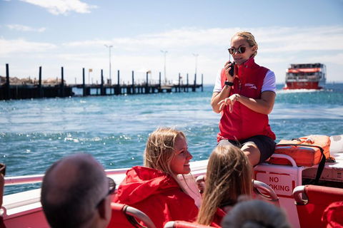Adventure Rottnest Tour With Ferry & Adventure Cruise From Perth Or Fremantle - Holiday Cairns 4