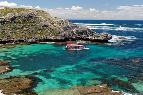 Adventure Rottnest Tour With Ferry & Adventure Cruise From Perth Or Fremantle - Holiday Cairns 5