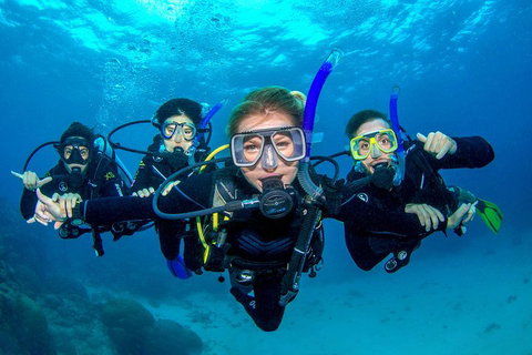 Great Barrier Reef Diving And Snorkeling Cruise From Cairns - Holiday Cairns 0