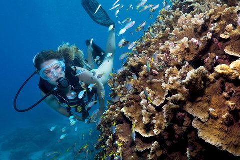 Great Barrier Reef Diving And Snorkeling Cruise From Cairns - Holiday Cairns 1