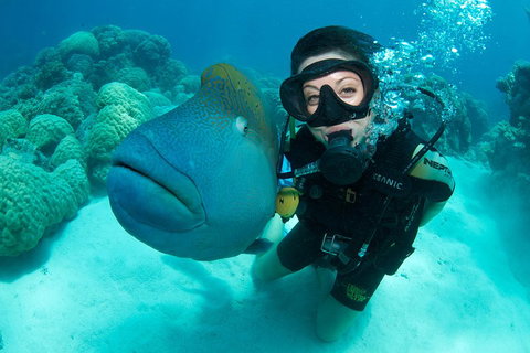 Great Barrier Reef Diving And Snorkeling Cruise From Cairns - Holiday Cairns 2