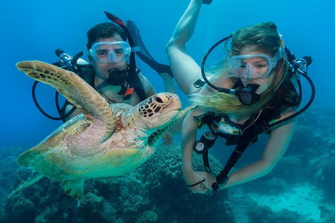 Great Barrier Reef Diving And Snorkeling Cruise From Cairns - Holiday Cairns 4