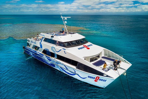 Great Barrier Reef Diving And Snorkeling Cruise From Cairns - Holiday Cairns 5