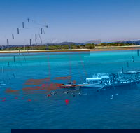 Ocean Free Green Island  Great Barrier Reef Snorkel Cruise Cairns 25 guests - Holiday Cairns