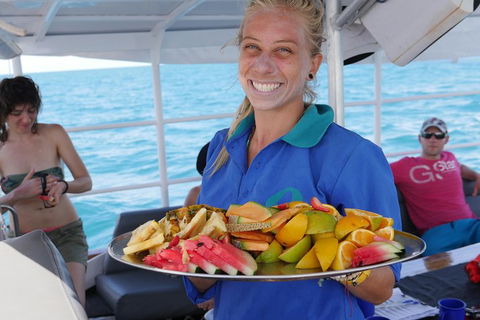 Ocean Free Green Island & Great Barrier Reef Snorkel Cruise, Cairns 25 Guests - Holiday Cairns 1
