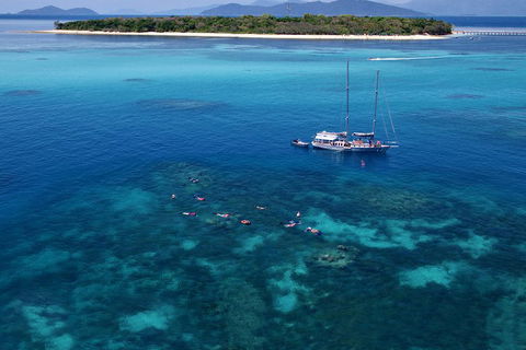Ocean Free Green Island & Great Barrier Reef Snorkel Cruise, Cairns 25 Guests - Holiday Cairns 2