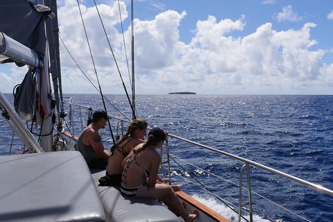Ocean Free Green Island & Great Barrier Reef Snorkel Cruise, Cairns 25 Guests - Holiday Cairns 4