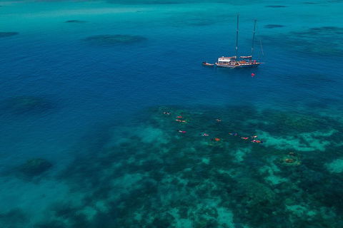 Ocean Free Green Island & Great Barrier Reef Snorkel Cruise, Cairns 25 Guests - Holiday Cairns 5
