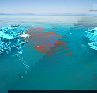 Ocean Freedom Great Barrier Reef Personal Luxury Snorkel  Dive Cruise Cairns - Holiday Cairns