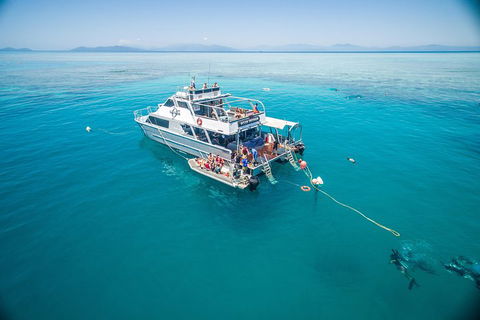 Ocean Freedom Great Barrier Reef Personal Luxury Snorkel & Dive Cruise, Cairns - Holiday Cairns 0